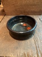 Pet Bowl