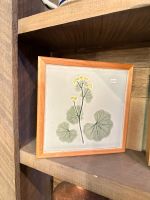 Box w/lid – Lenten Rose