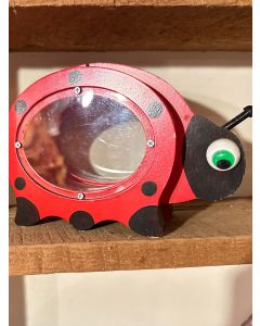 Lady Bug Bank