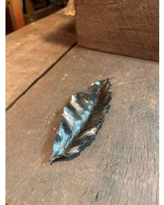 Barn Owl Feather