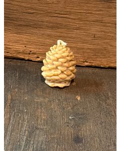 Pine Cone